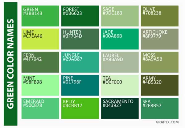 همه چیز درباره رنگ ها در زبان انگلیسی 6 همه چیز درباره رنگ ها در زبان انگلیسی