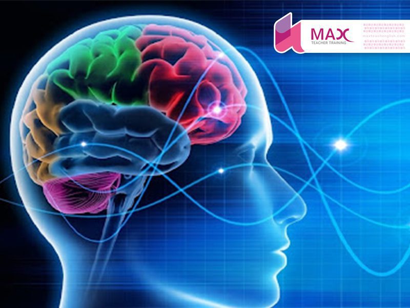 عملکرد ذهن در یادگیری زبان انگلیسی- دو نوع یادگیری