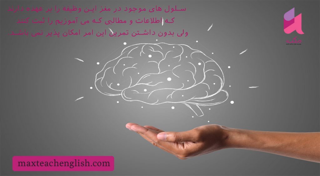 چیکار کنم تا اینقد زود کلمات و گرامر زبان رو فراموش نکنم؟ چند پیشنهاد عالی! 2 چیکار کنم تا اینقد زود کلمات و گرامر زبان رو فراموش نکنم؟ چند پیشنهاد عالی!