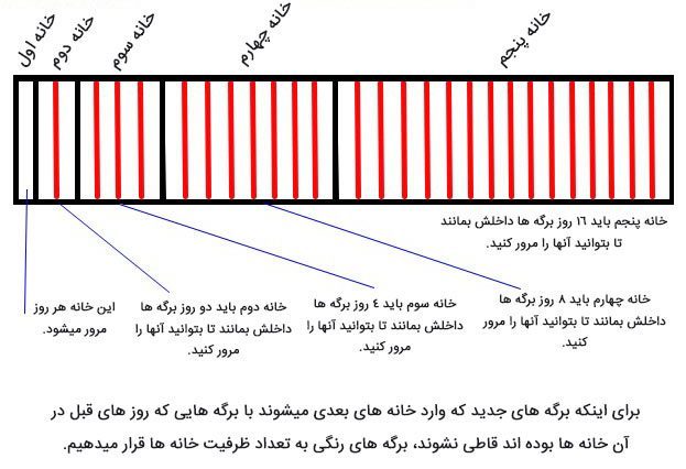 جعبه لایتنر چیست؟ (آموزش کامل ساخت + نحوه استفاده تصویری برای حفظ لغات) 5 نحوه کار با جعبه لایتنر